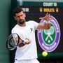 Wimbledon, oggi Djokovic-Muller - Il match in diretta