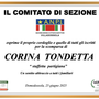 Partecipazione