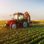 Anticipi Pac da luglio, Coldiretti: "Una boccata d'ossigeno per le imprese agricole" Anticipi Pac da luglio, Coldiretti: "Una boccata d'ossigeno per le imprese agricole"