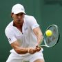 A Wimbledon ko Darderi e Bellucci, domani tocca a Sinner