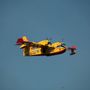 Incendio a Premosello Chiovenda, in azione due Canadair e un elicottero