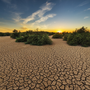Caldo estremo e siccità mettono a dura prova l’agricoltura europea Caldo estremo e siccità mettono a dura prova l’agricoltura europea