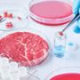 Cibo prodotto in laboratorio, Coldiretti Novara-Vco: “Restano dubbi su sicurezza e sostenibilità” Cibo prodotto in laboratorio, Coldiretti Novara-Vco: “Restano dubbi su sicurezza e sostenibilità”
