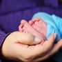 Settimana mondiale per l'allattamento al seno: con Asl Vco molte iniziative di sensibilizzazione