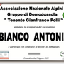 Partecipazione