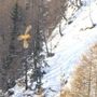 Cresce anche in Svizzera il numero di gipeti