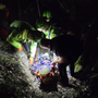 Domo, 84enne precipita in un canale a Quartero mentre cerca funghi: intervento dell’eliambulanza in volo notturno VIDEO