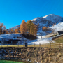 Domobianca365, una giornata per grandi e piccini con la &quot;Festa d'autunno&quot;