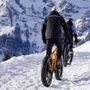 Passione bici, dai modelli cittadini fino a quelli per i sentieri di montagna