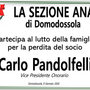 Partecipazione