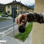 Il pezzo di camino staccatosi da una casa del Villaggio Il pezzo di camino staccatosi da una casa del Villaggio