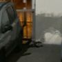 Una faina si aggira tre le auto nel parcheggio sotterraneo dell'ospedale domese Una faina si aggira tre le auto nel parcheggio sotterraneo dell'ospedale domese
