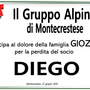 Partecipazione