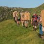“Oltre ogni Limite”: trekking tra pascoli, memoria e libertà