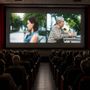 Un'immagine del cortometraggio vincitore "Adios" Un'immagine del cortometraggio vincitore "Adios"