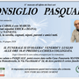 Consiglio Pasquale
