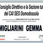 Partecipazione Partecipazione
