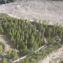 Monte Moro, tutti gli imputati rinviati a giudizio per i lavori della pista Mtb Monte Moro, tutti gli imputati rinviati a giudizio per i lavori della pista Mtb