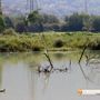 Il lago Tana tra Crevoladossola e Montecrestese Il lago Tana tra Crevoladossola e Montecrestese