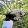 Valle Vigezzo tra magia e mistero: a Toceno il nuovo libro di Marco De Ambrosis