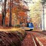 La magia dell'autunno tra Ossola e Svizzera: riparte il Treno del Foliage La magia dell'autunno tra Ossola e Svizzera: riparte il Treno del Foliage