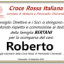 Partecipazione