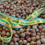 Nocciole, Coldiretti chiede un tavolo regionale: “Serve un fondo straordinario” Nocciole, Coldiretti chiede un tavolo regionale: “Serve un fondo straordinario”