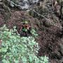 Ritrovati illesi i due cercatori di funghi dispersi ad Arvogno