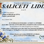 Saliceti Lidia di anni 90