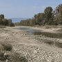 Settembre a secco al Sud e fiumi del Nord ai minimi, Plantvoice misura nella linfa quanta acqua serve alle piante Settembre a secco al Sud e fiumi del Nord ai minimi, Plantvoice misura nella linfa quanta acqua serve alle piante