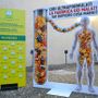 Cibi ultraformulati, Coldiretti Piemonte chiede all'Europa maggiori tutele per la salute