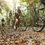 In bici alla scoperta di gelsi e filugelli