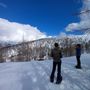 Monitoraggio primaverile: record di fagiani all’Alpe Devero, calo significativo all’Alpe Veglia