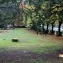 Crodo, una nuova giornata di pulizia per il parco delle terme