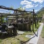 &quot;Ossola in cantina&quot;: torna l'appuntamento alla scoperta delle eccellenze vitivinicole locali
