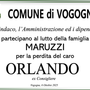 Partecipazione