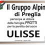 Partecipazione Partecipazione