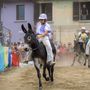 Premosello, Martina Bonacina fa il bis al Palio degli Asini Premosello, Martina Bonacina fa il bis al Palio degli Asini