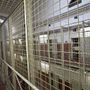 Emergenza caldo nelle carceri piemontesi, la Garante intensifica i controlli: fondi straordinari per ventilatori e frigoriferi Emergenza caldo nelle carceri piemontesi, la Garante intensifica i controlli: fondi straordinari per ventilatori e frigoriferi