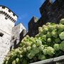 Al Castello di Vogogna il concerto del musicista curdo Ashti Abdo