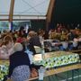 Alpini in Festa, tre giorni di musica e buona cucina Alpini in Festa, tre giorni di musica e buona cucina