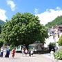 Domenica mostra fotografica, concerto e inaugurazione dello “Schiaccianoci” a Bocodipinta