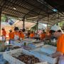 Trontano celebra i sapori d’autunno con la 39ª Sagra del Fungo