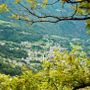 L’alpeggio della Fraccia: escursione tra natura, storie e antiche tradizioni in Val Divedro