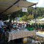 Alla Gomba alpini in festa