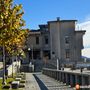 Mergozzo, al via i “Giovedì del Museo e dell’Ecomuseo” con la mostra “Archeologia e mito” Mergozzo, al via i “Giovedì del Museo e dell’Ecomuseo” con la mostra “Archeologia e mito”