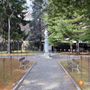 Villadossola, saranno abbattuti cinque alberi pericolanti nel Parco delle Rimembranze