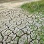 Coldiretti Piemonte: “Servono misure straordinarie per garantire acqua all’agricoltura, cresce il rischio siccità”