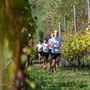 Trail del Calvario, a Domodossola l’undicesima edizione tra sport e solidarietà Trail del Calvario, a Domodossola l’undicesima edizione tra sport e solidarietà