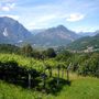 &quot;Lettura e natura&quot;, un'escursione per famiglie alla scoperta di Trontano